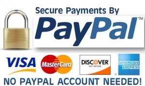 Secure payments with paypal